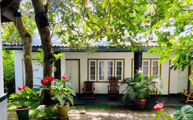 drongo place