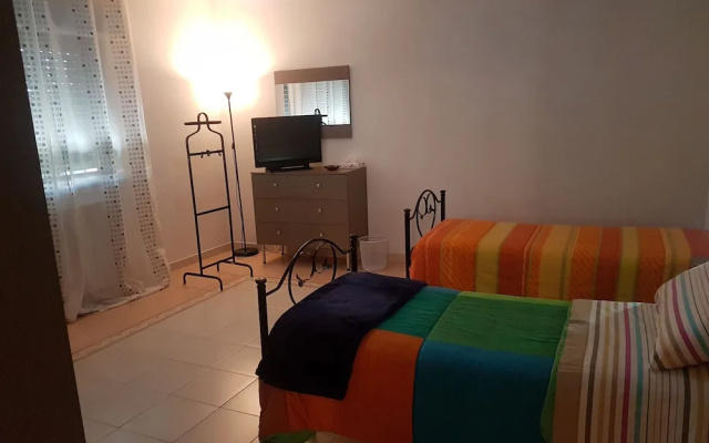B&B Camelie