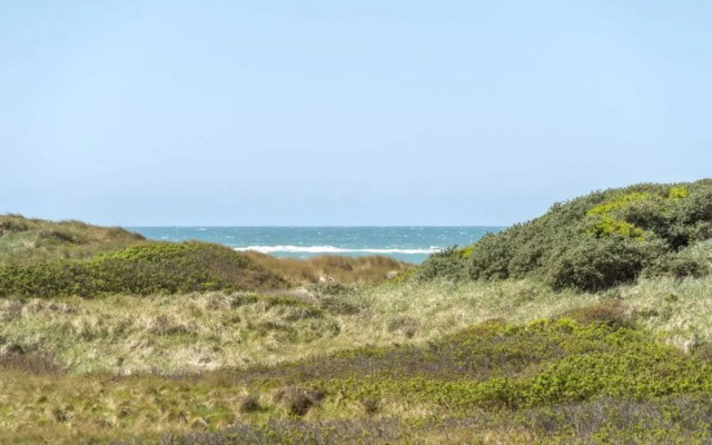 "Gerald" - 100m from the sea in NW Jutland