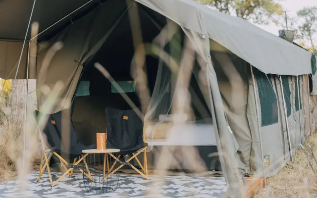 Kruger Untamed - Satara Plains Camp