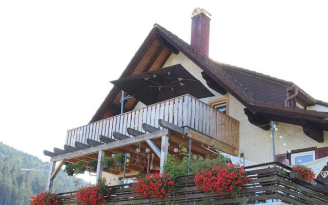 Picturesque Apartment in Baiersbronn With Bar