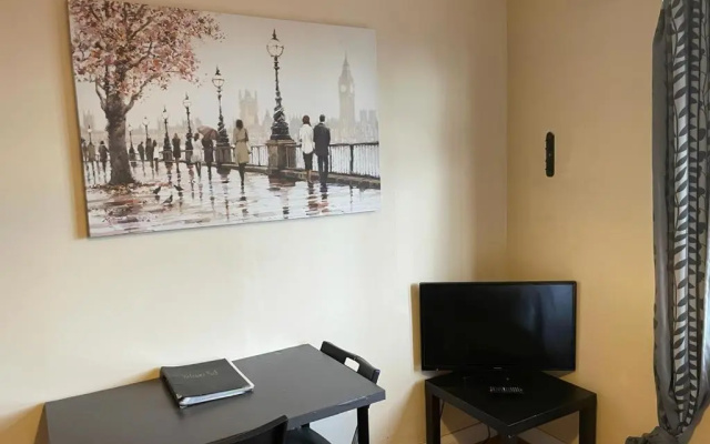 Amazing Studio Apartment in North East London