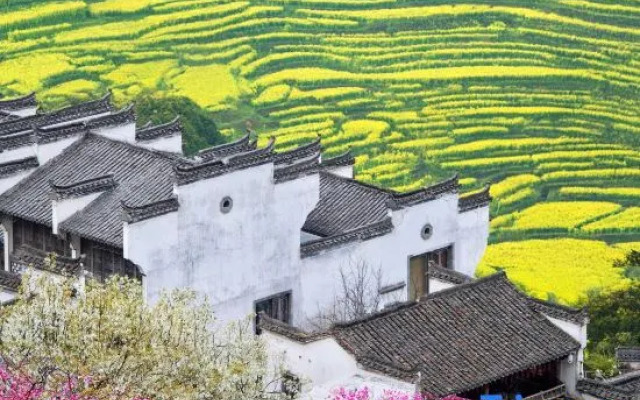 Wuyuan Leye Mountain House (Huangling Scenic Area Terraced Fields Flower Sea)