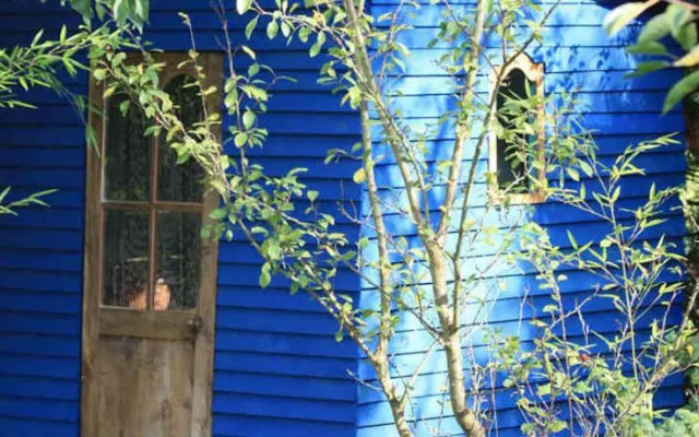 LOrange Bleue