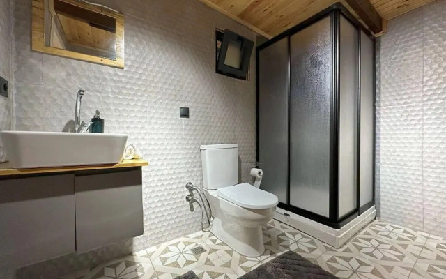 Vice Sapanca Bungalov