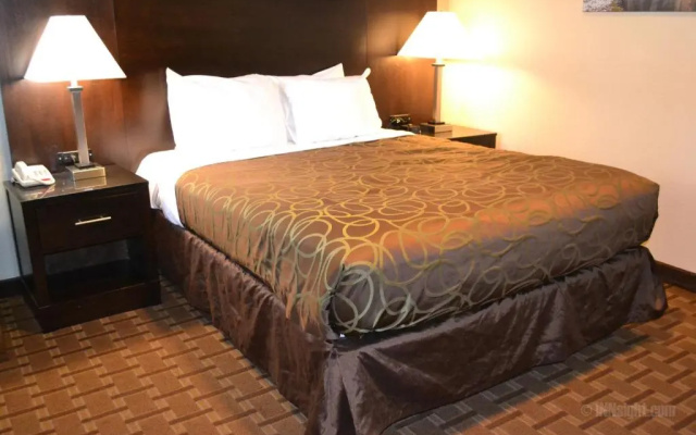 Buck Meadows Lodge