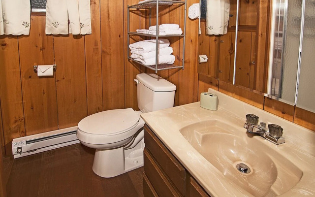 Wild Sky Escape - One Bedroom Cabin with Hot Tub