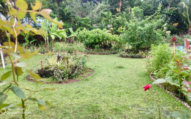 Sun House Rental