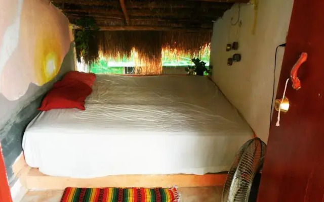Xaman Eco-Hostel