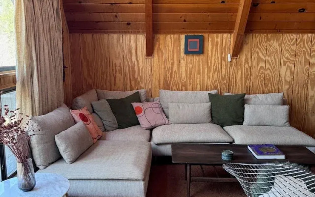 Mid-century Modern A-frame Time Capsule