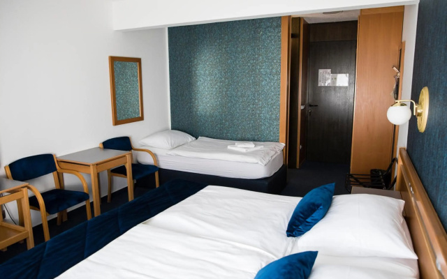 Alp Hotel