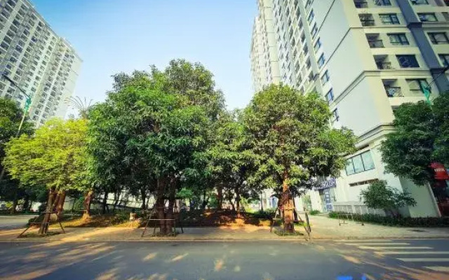 Vinhomes Times City Delicate Residence
