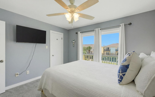 Sand Dollar 30