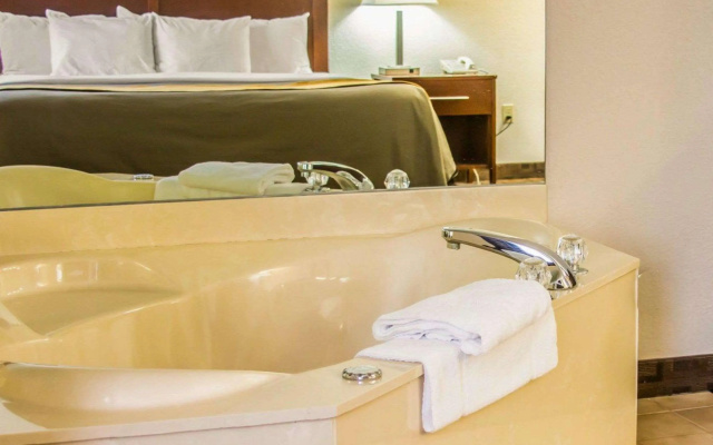 Comfort Inn Birch Run - Frankenmuth
