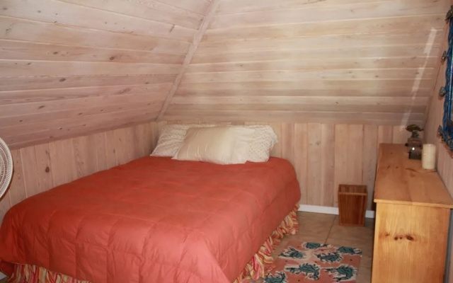 Abaco Surfside