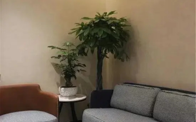 Zheli Fashionable Hotel