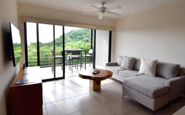 Agaves 203