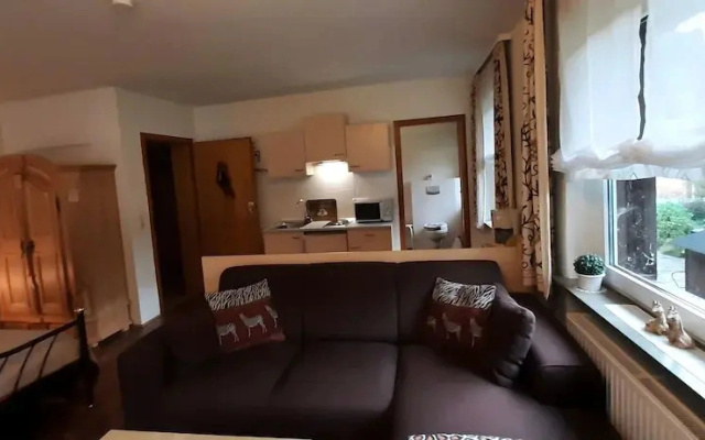 Enchanting Holiday Flat in the Harz Mountains