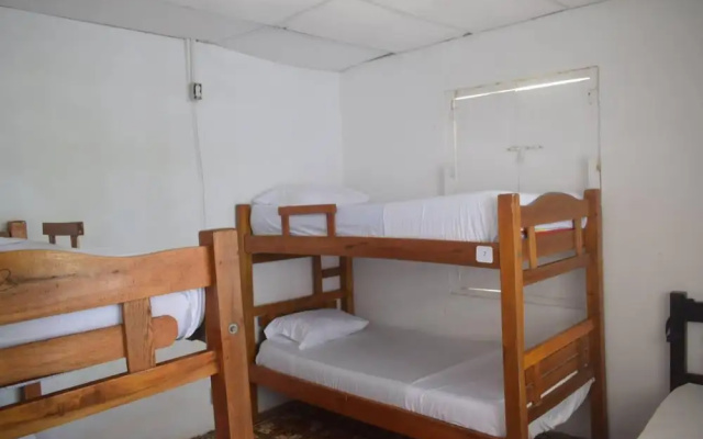 Mango Tree Hostel 4 20