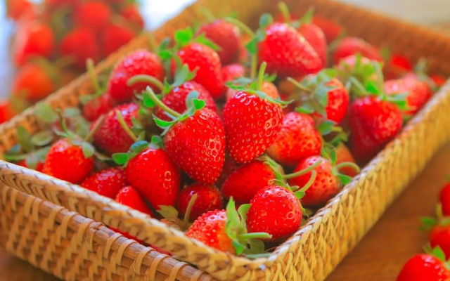Doi Nok Strawberry Resort Chiangmai
