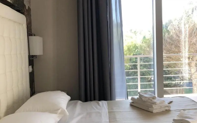 Hotel Boutique Carolina