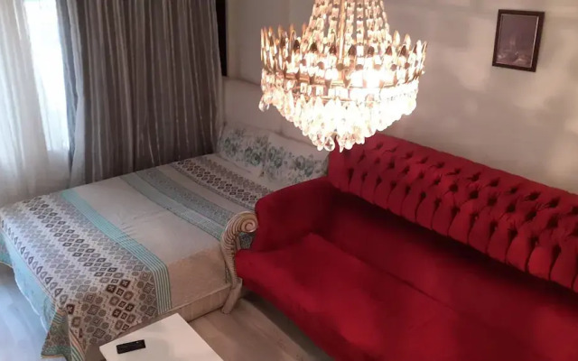Suite 79