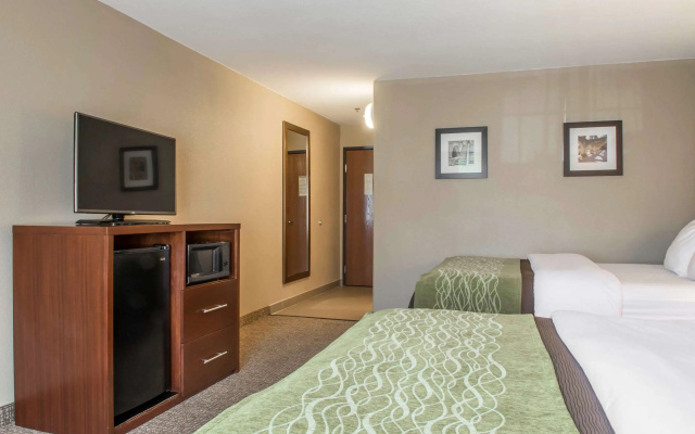 Comfort Inn Edinburg South