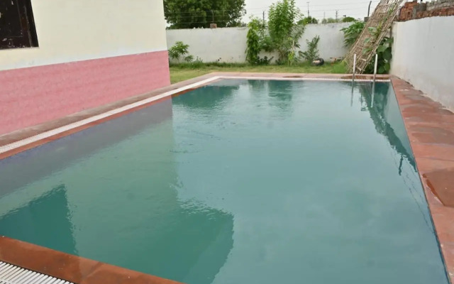 The Forest View Resort
