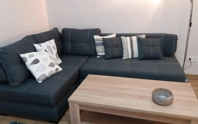 Skelnaia Apartment