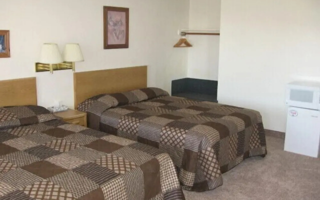 Little Bear Motel