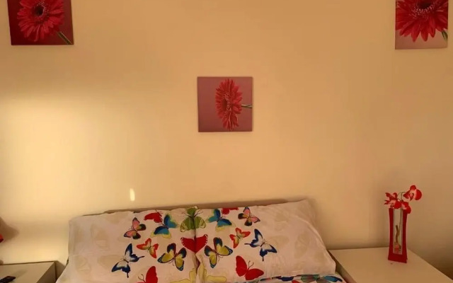Busy Bee Guest House