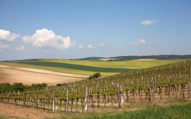 Rebenhof Schwalm (Adults Only)
