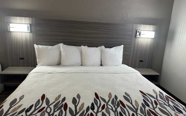 Red Roof Inn & Suites Middleborough