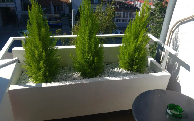 Apartment Pluvia