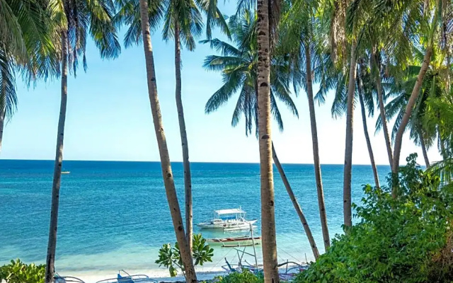 Three Little Birds Resort