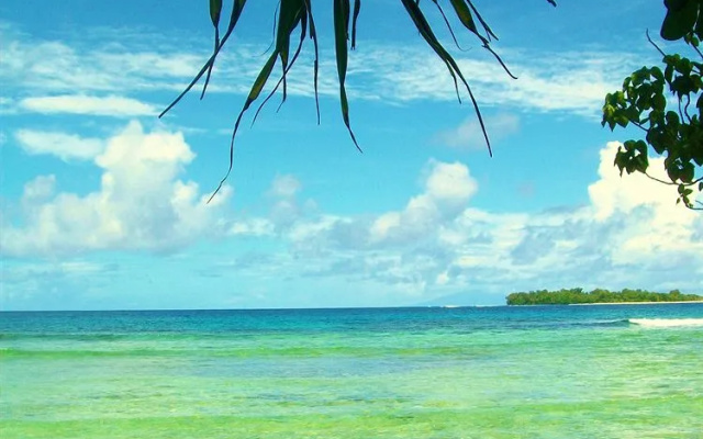 Reef Resort