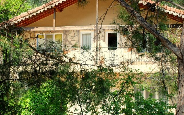 Гостевой Дом Dionysos Lodge вид на фасад
