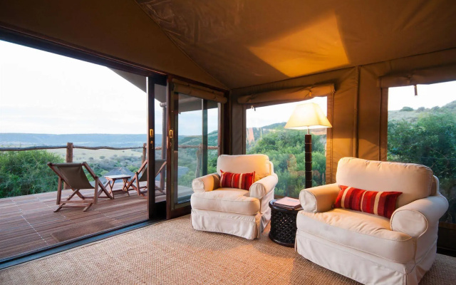 HillsNek Safari Camp - Amakhala Game Reserve