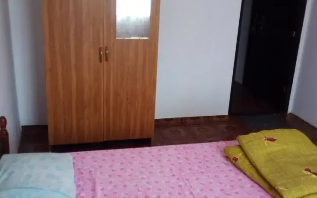 Дельфин