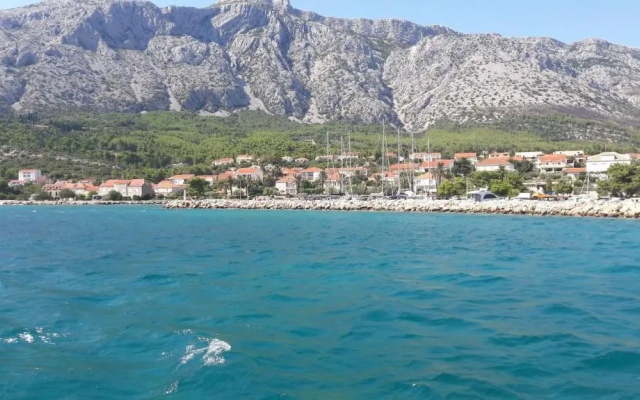 Apartments Dodik
