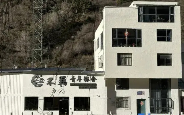 Unrestrained Youth Hostel