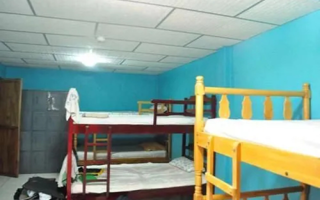 Funky Monkey Hostel