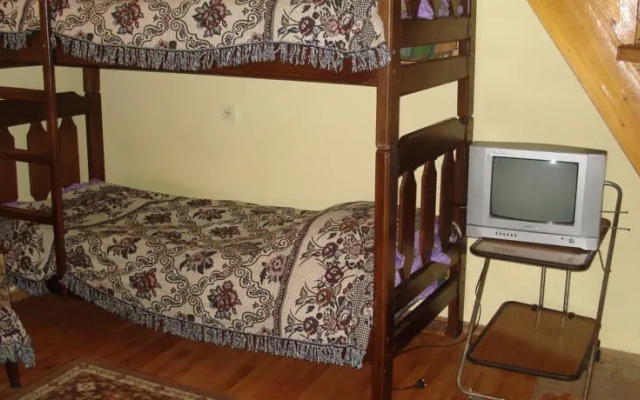 Bachos Studio
