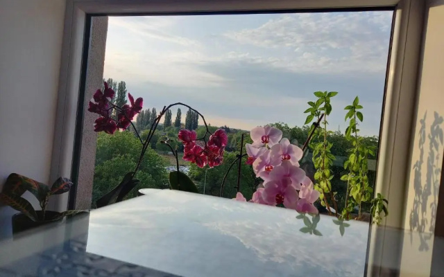 Lavanda Apartment