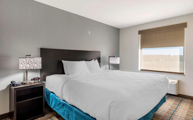Mainstay Suites Newberry - Crane