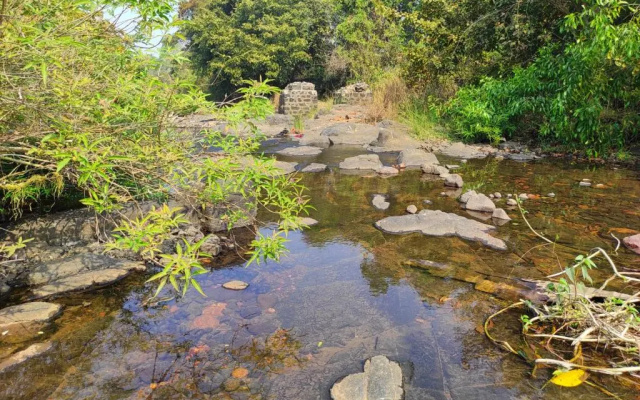 River Bird (Dalvi's Farm Tourism)