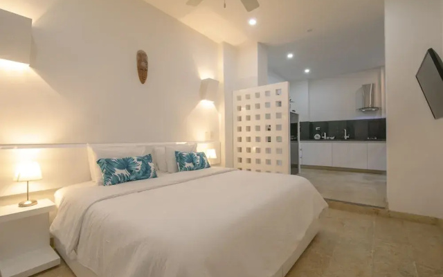 El Cactus Luxury Apartments in Historic Center