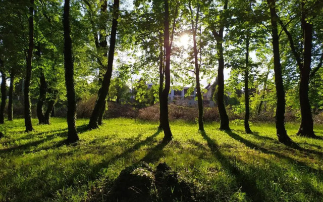 Sirály apartman