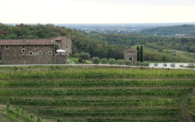Agriturismo Ronchi Di SantEgidio