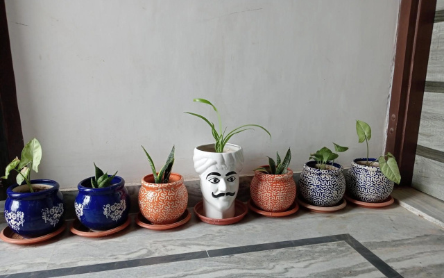 Jaipur Marigold Homestay